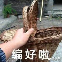 怪蜀黍外貌却能开口配出萝莉音？这位抖音上的声优让我跪了