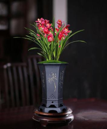 兰花香最迷人,香味最浓的兰花