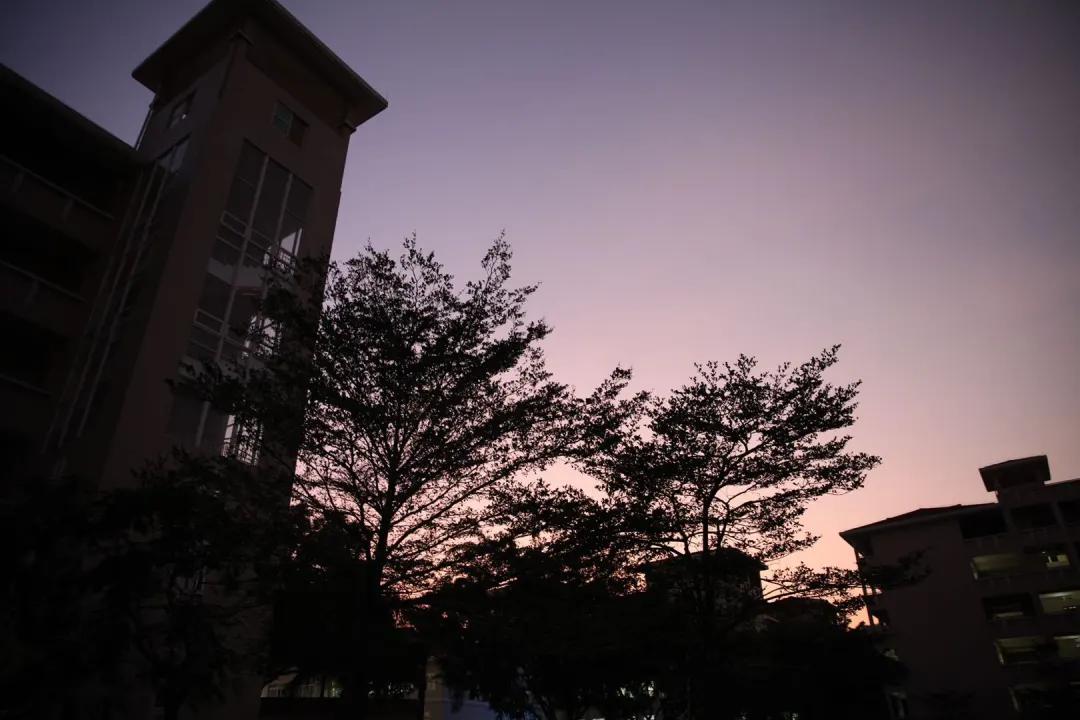 东莞市虎门外语学校中考喜报,东莞虎门外语学校2023高考喜报