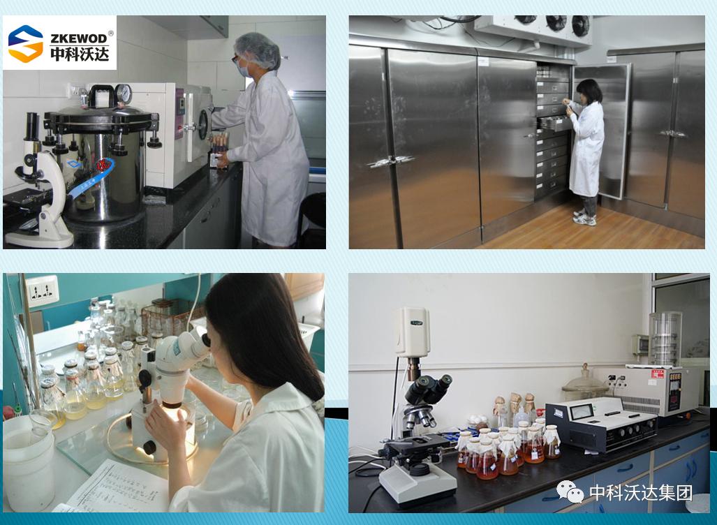 益力健牛羊专用中成药,益立健兽药