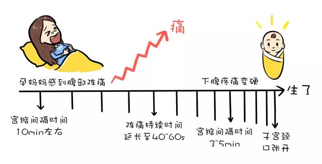 巍医生科普知识,巍医生的科普知识