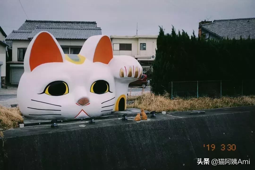 日本奈良喂小鹿时鞠躬砸到头,日本奈良神鹿公园游记