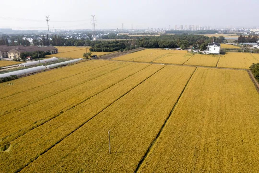 昆山限时特卖会,昆山大润发抢购