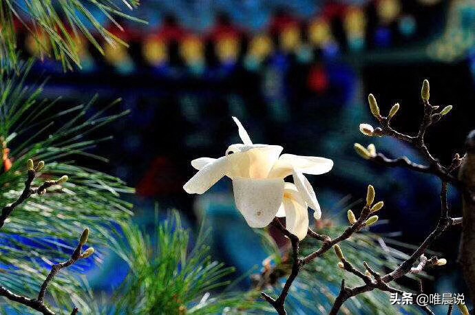 识人术准到吓人的感悟,六条识人术准到你怀疑人生