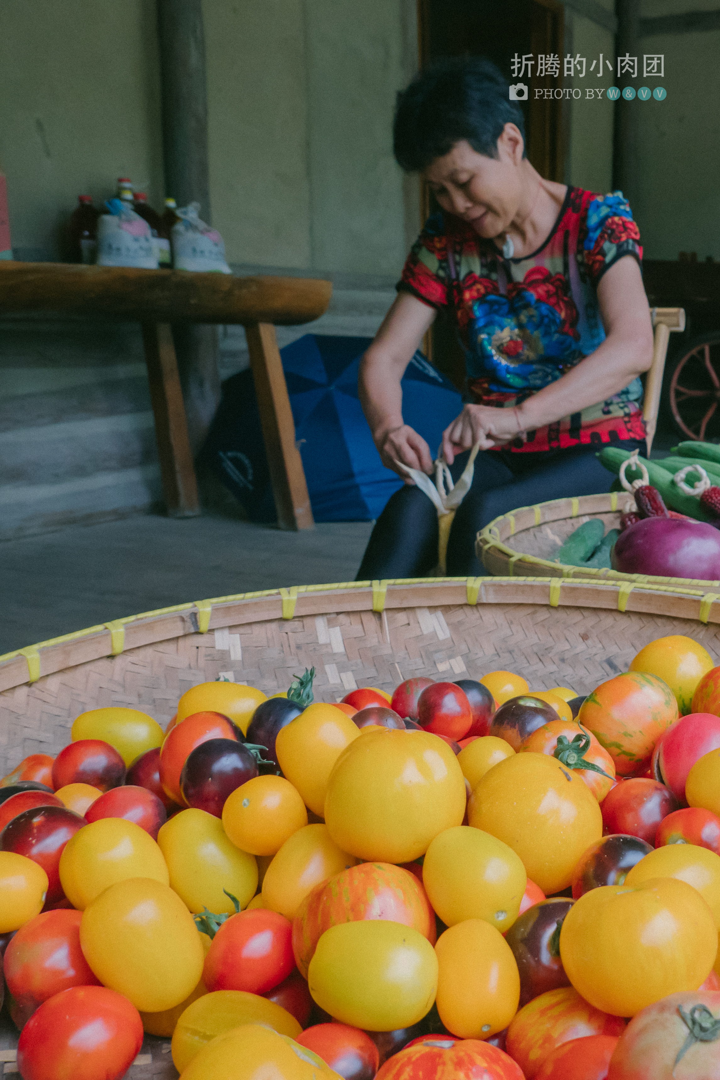 乌村亲子游全攻略,乌村亲子游攻略