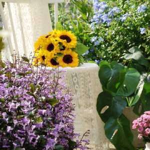 把胳膊砍掉疼不疼,医生能不能帮帮我