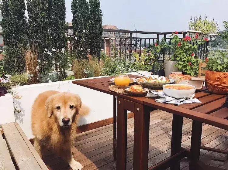 最有质感的家欢迎借鉴,打造浪漫有格调的家