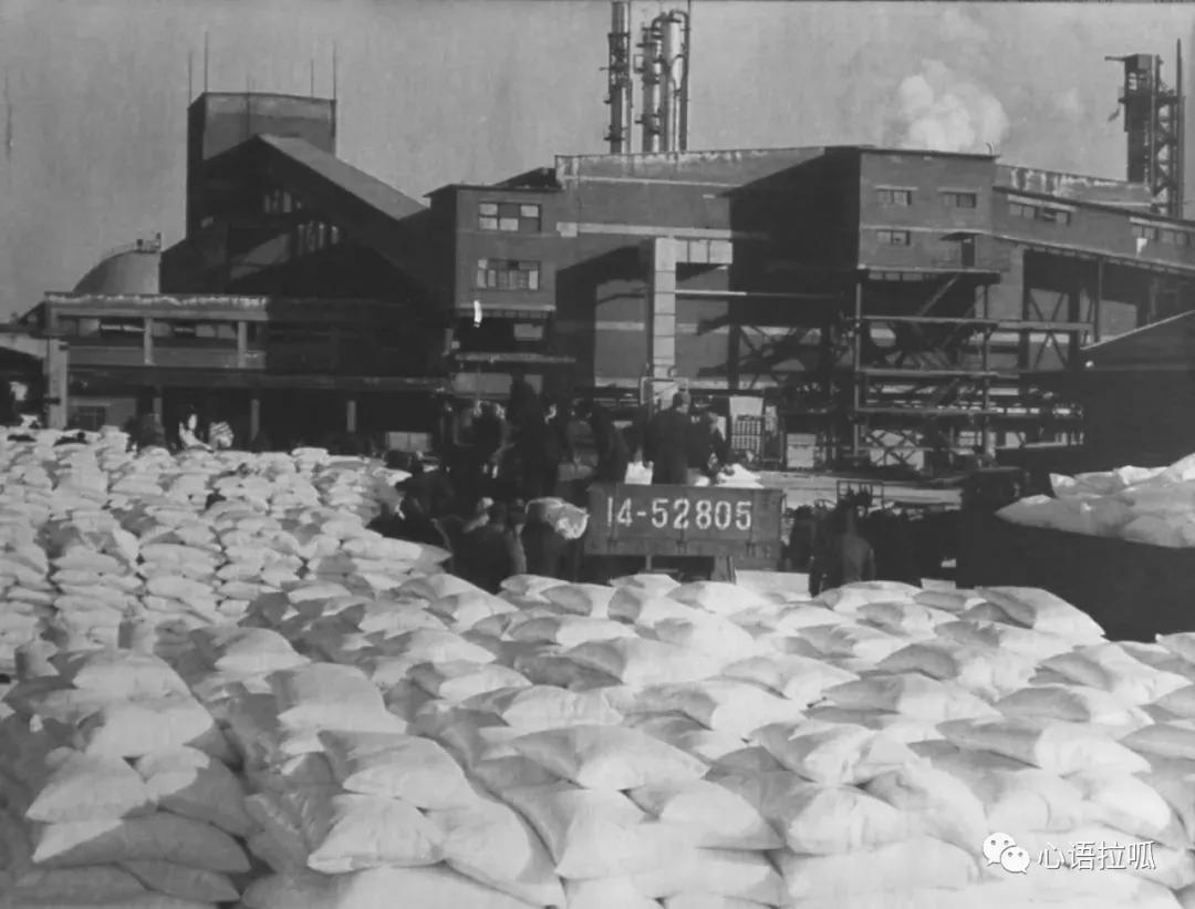 淄博曾经有合成氨和三十万