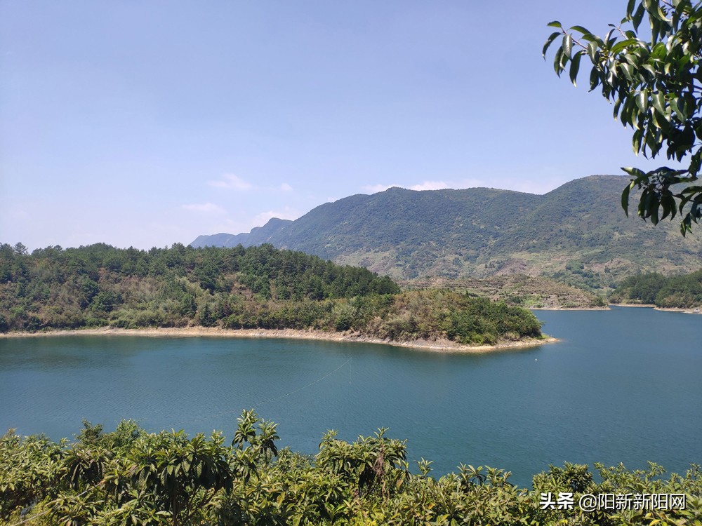 阳新县新闻,湖北鄂州阳新新闻