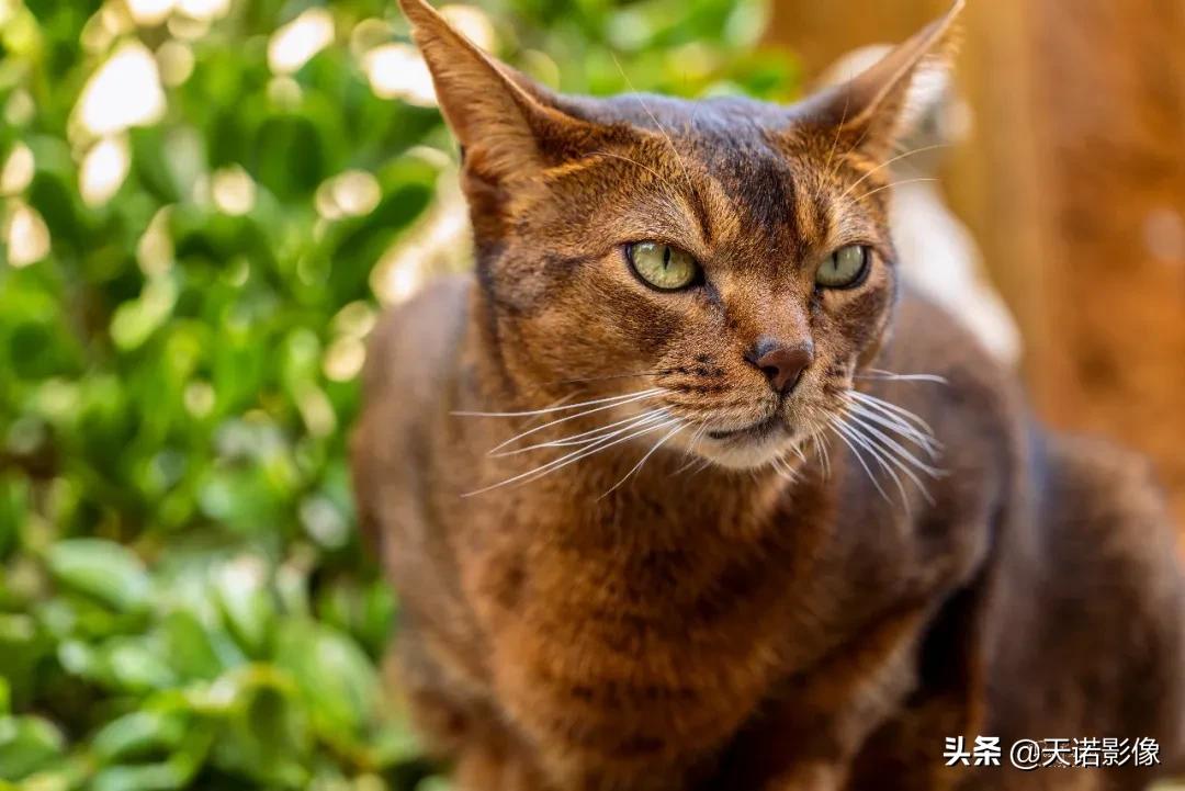 徕卡哪一款2024年最值得入,徕卡最好的是哪一款