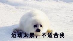 吃什么可以让代谢变快,吃什么可以使代谢变快