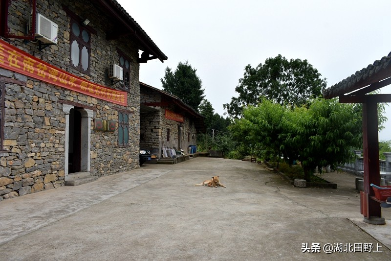 推荐的民宿采摘,浙江隐匿山野的民宿桃源仙境