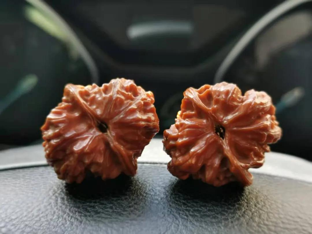 超实力派小姐姐!玩串16年,爱入骨髓,彻彻底底的包浆控