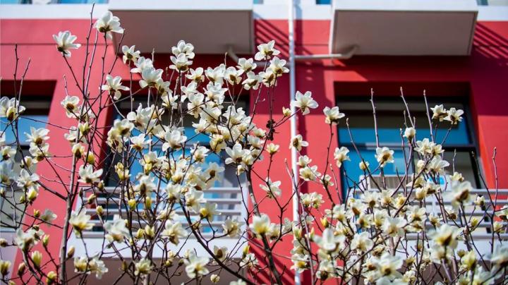 上海国际学校视频,上海世界外国语中学国际部