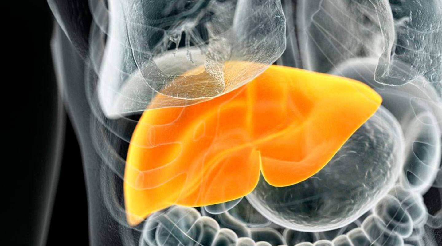 水果代替晚餐会得脂肪肝吗,吃蔬菜得脂肪肝