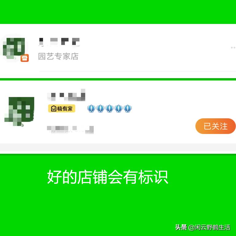 怎样避开买宿迁的花,怎样避免购买到宿迁假苗木