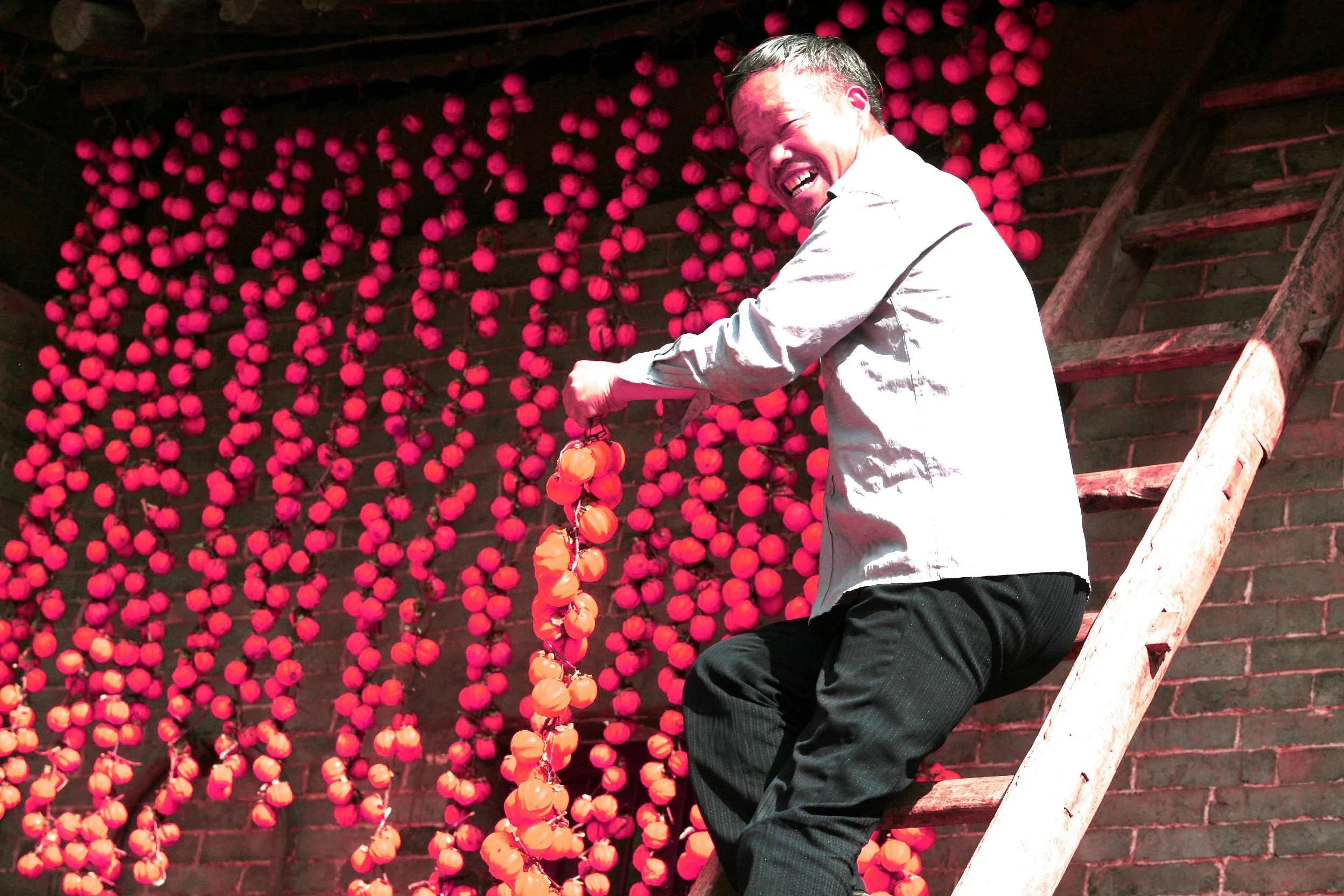 渭南市临渭区：长寿原上一滴醋（组图）