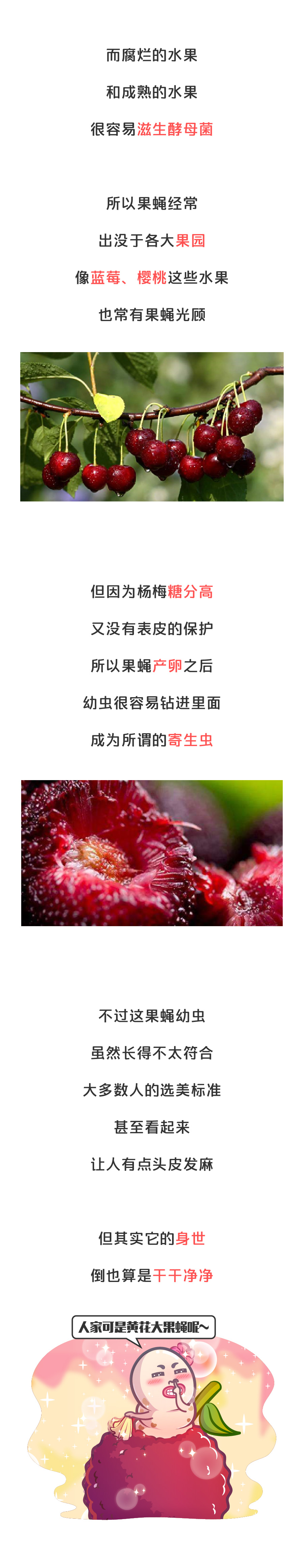 世纪难题毒液,世纪难题吃什么