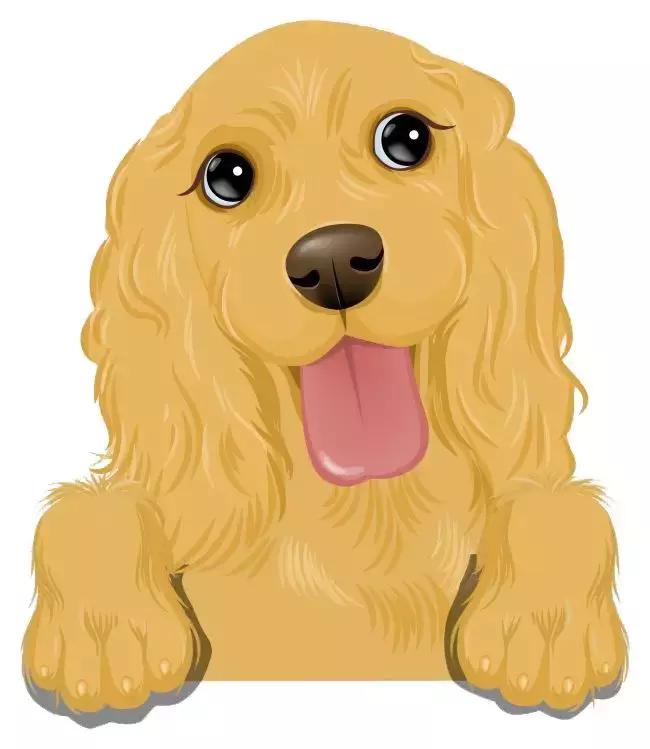 活久见?大连一金毛吞了主人衣服,医生说它有“心理疾病”!