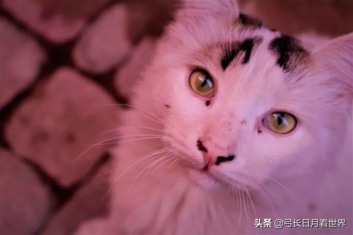 那又怎样,先干了这杯酒