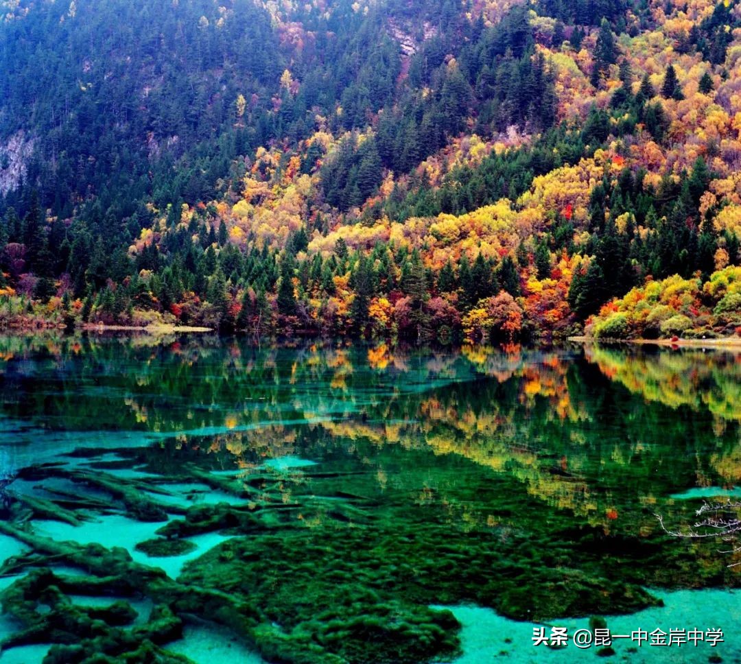 看诗里飞花，感家国情怀