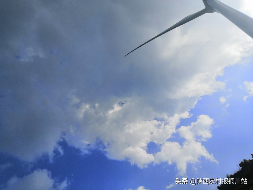 陈百强一生一共唱了多少首歌,朱百强个人资料