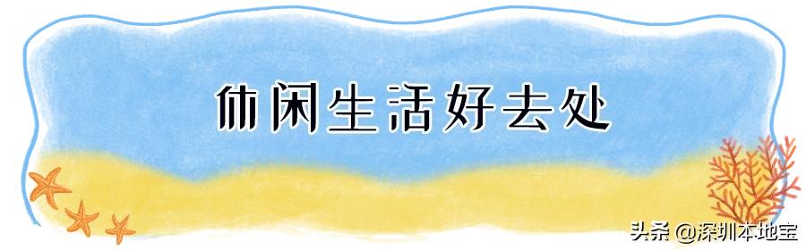 深圳市盐田区综合发展规划,深圳改革开放40周年盐田发展规划