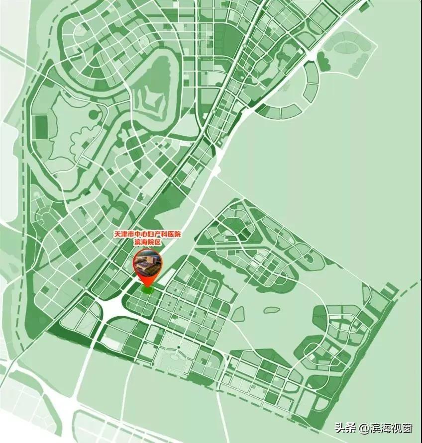 天津市中心妇产科医院咨询电话,天津中心妇产医院入驻生态城