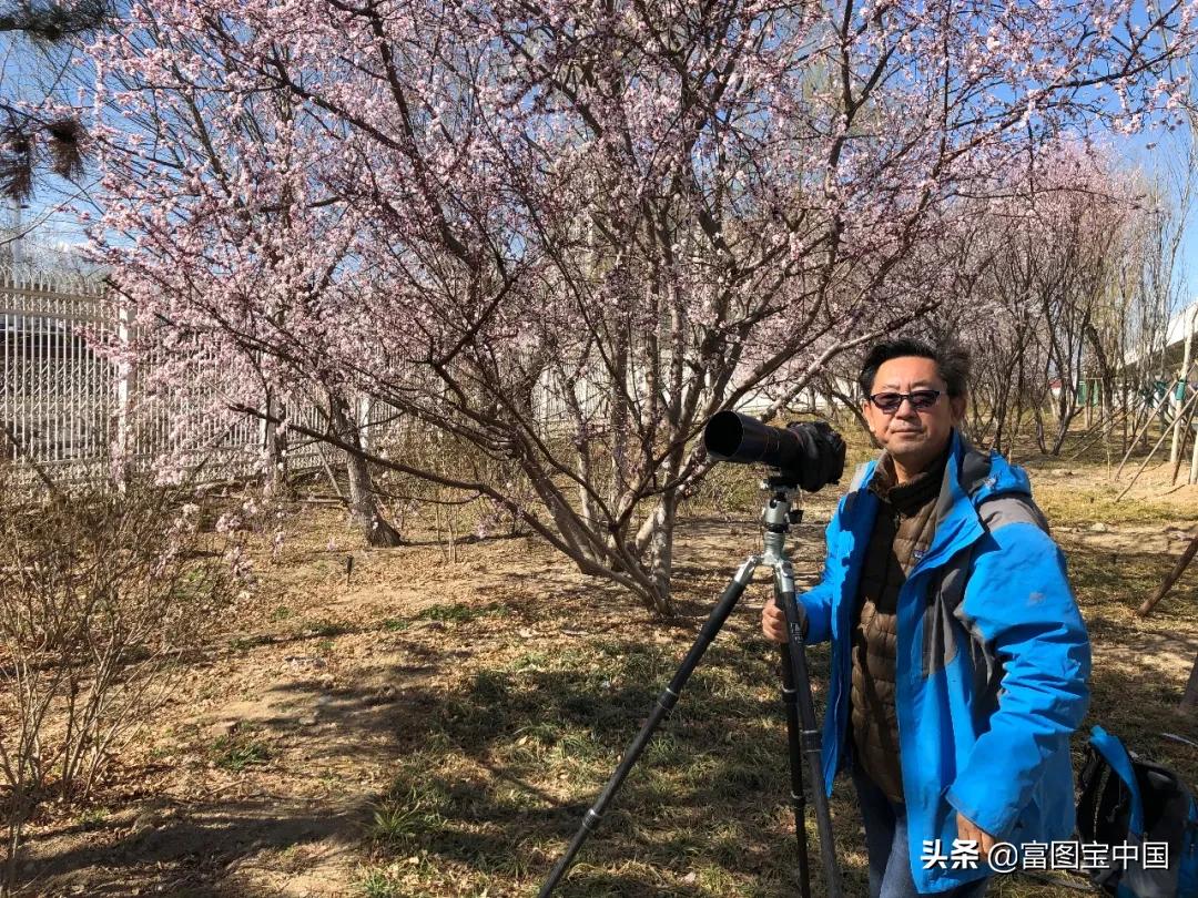 桃花怎么拍才好看,桃花怎么拍摄才能出新意