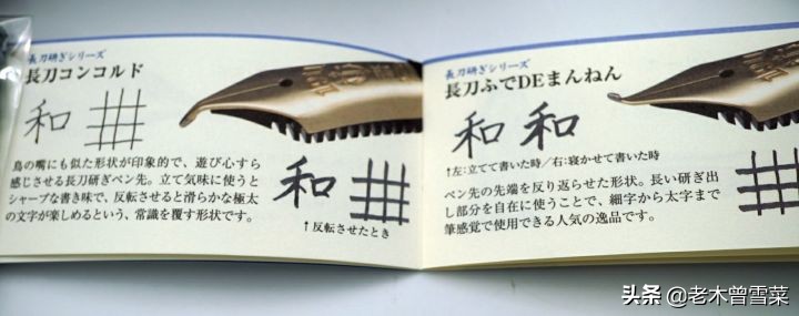 宝剑锋从磨砺出小篆书法,写乐经典钢笔