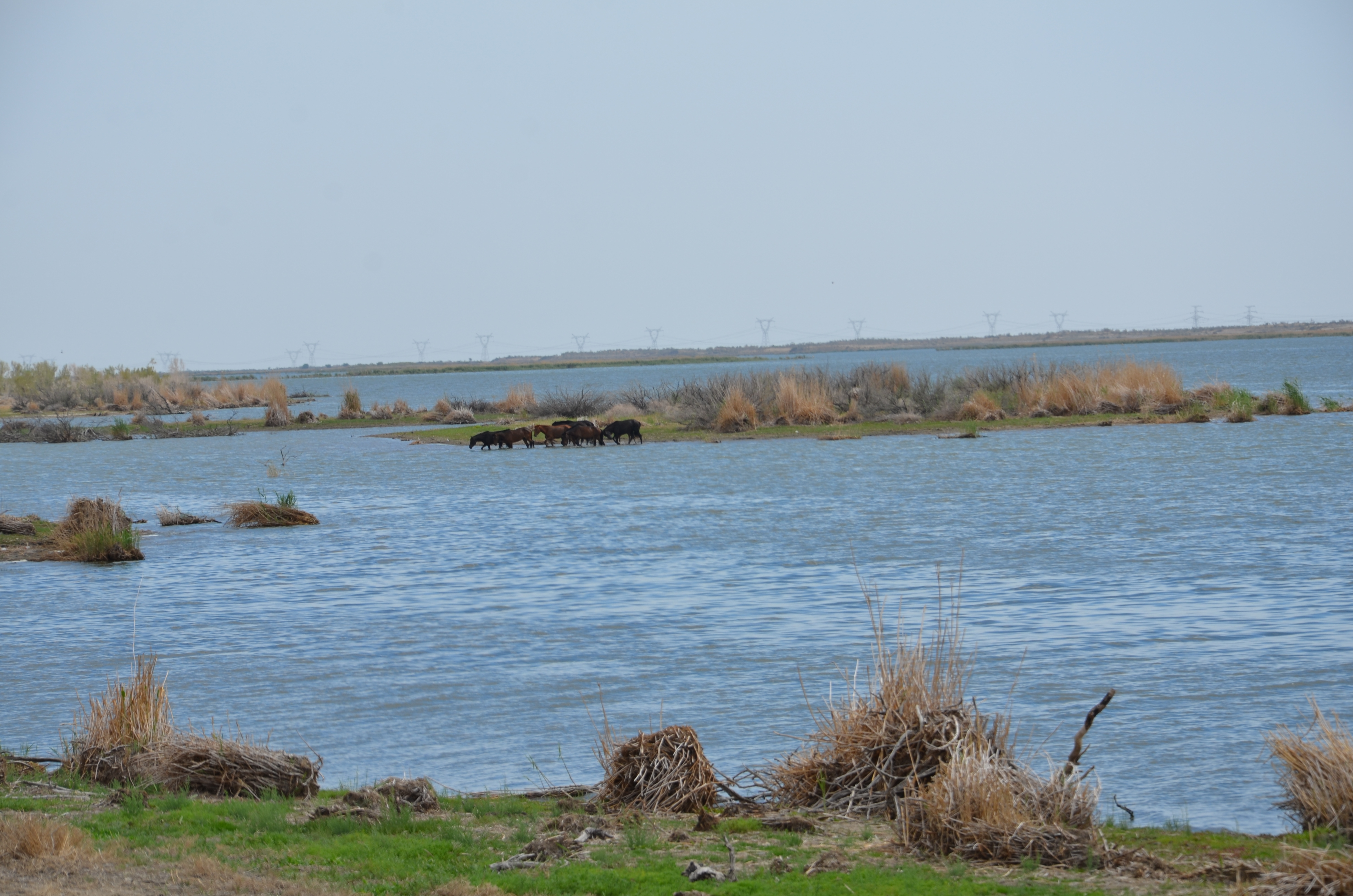 自驾游*疆新**：原来你是这样的白沙湖