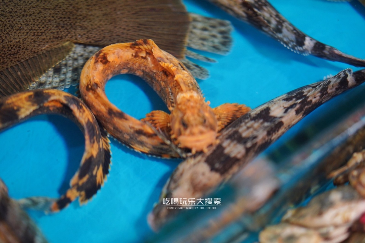 遇上浓浓的大连海蛎子味,青岛海蛎子旅游攻略