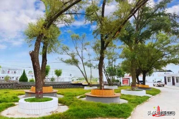 鍔涢噺2020,鍔涢噺2022