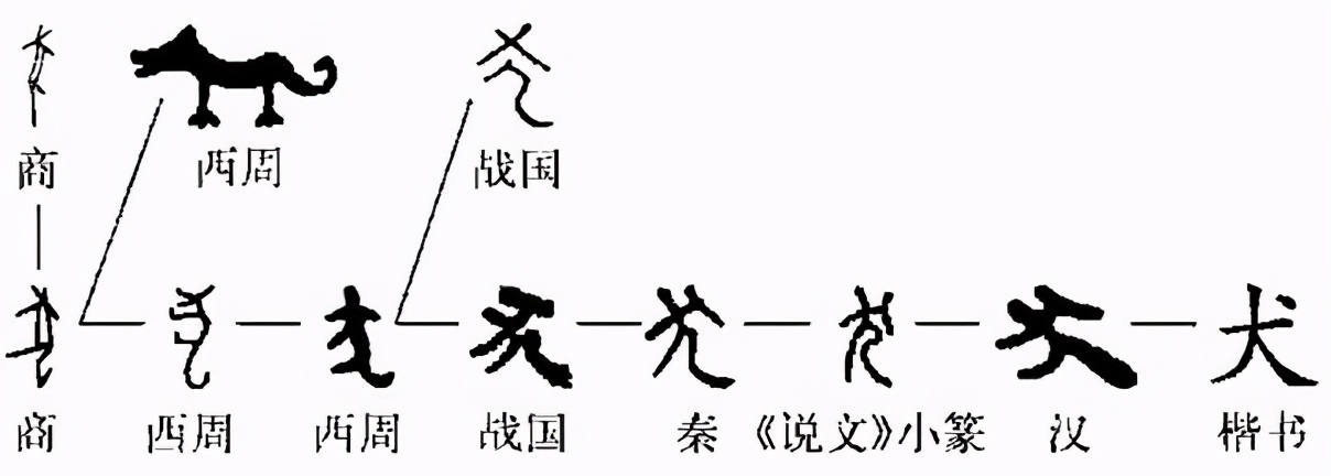 养宠物的人内心都是孤独的吗,养宠物真的可以缓解孤独吗