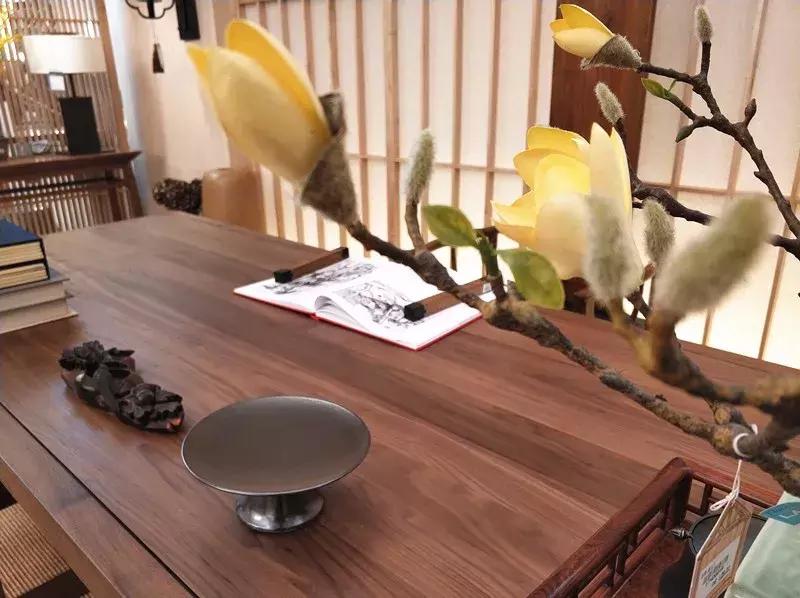 走进亮美嘉，感受光魅力