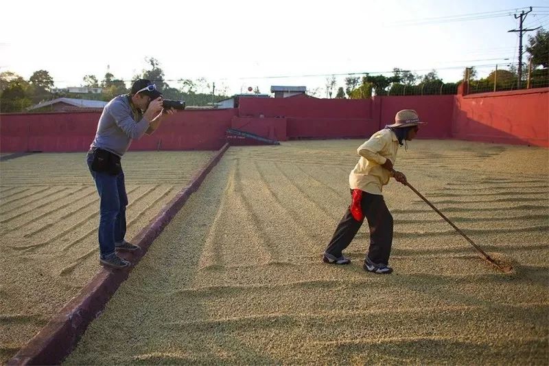 “土气”的休闲农业，正成为高端品牌争抢的“联姻”对象