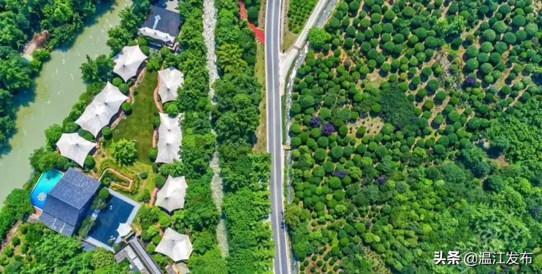 金温江国际水球赛开赛在即，点击领取门票！