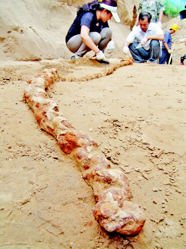 元代沉船,元代沉船多少钱一吨