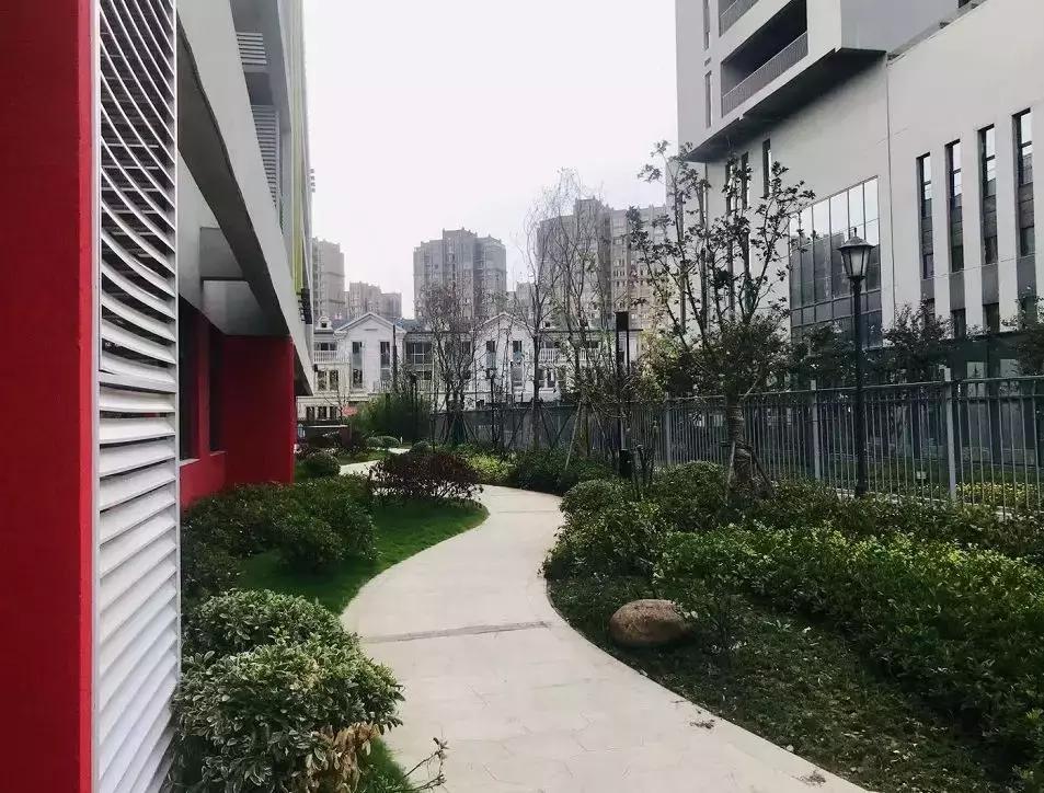 南京江北将来有哪些名校入驻,南京六所潜力双学区