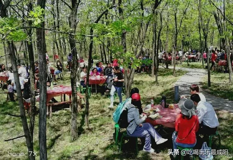 陕西哪三个县被评为天然氧吧,陕西中国天然氧吧之城