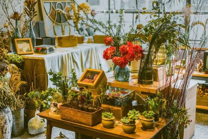 广州小众自驾,广州10个必去打卡的地方