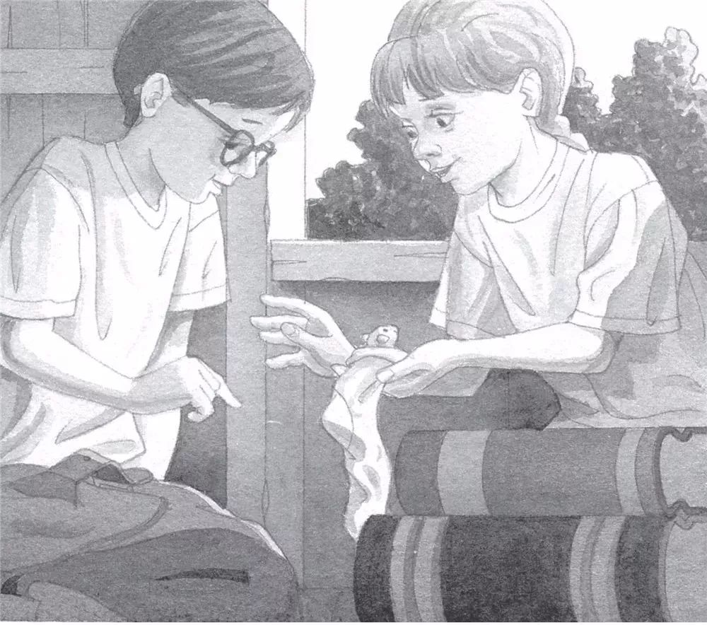 神奇树屋奥巴马,奥巴马书籍