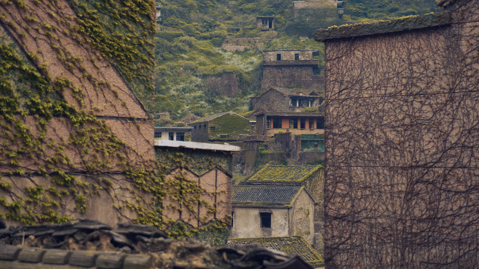 浙江嵊泗列岛三日游,嵊泗四日游旅游攻略