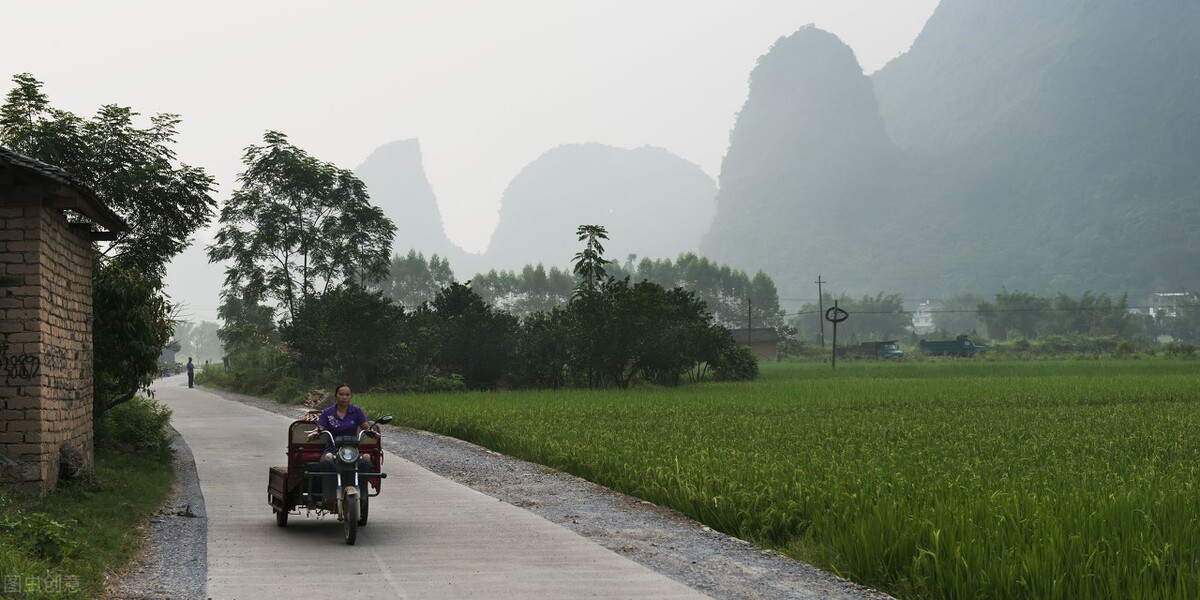 椿木盖房好吗,为啥说椿木不做梁
