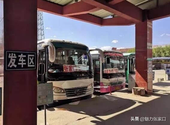 坝上各县的客运班车什么时间通,张家口坝上开通直达高铁站公交