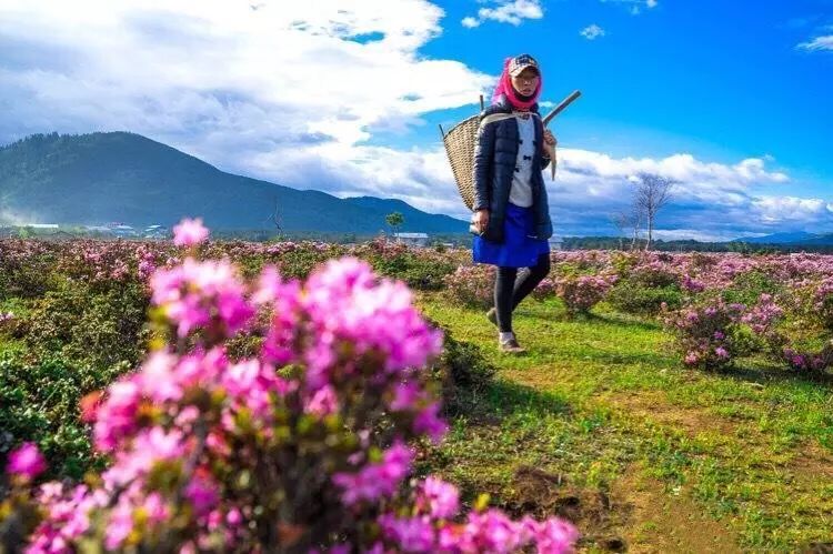 每个人的旅行清单，都有个云南，或迟或早，我们都将到达那方天地