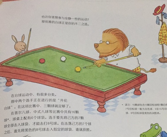 动物派对表演萌小动物们快出场,蠢萌动物大全