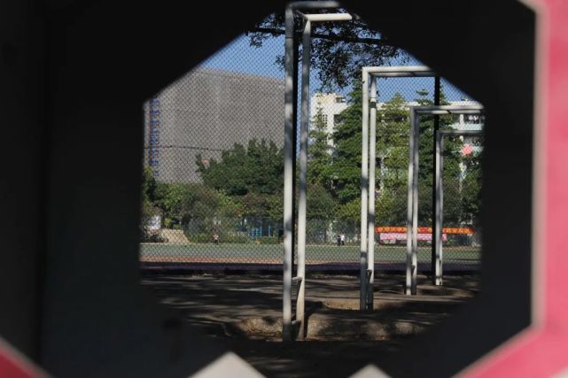 广东岭南职业技术学院2024分数,广东岭南职业技术学院志愿填报