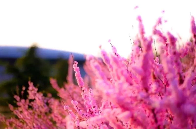 天津商业大学综合排名,天津商业大学真实排名