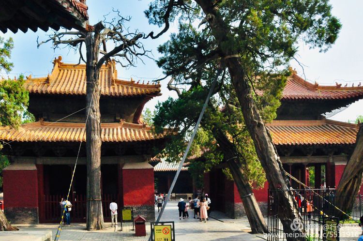 曲阜孔庙走马观花,曲阜孔庙朝圣